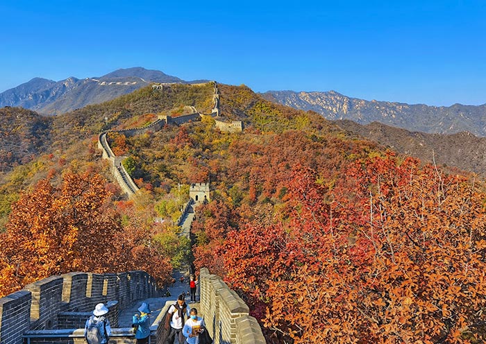 慕田峪長城迷人(rén)秋景 慕田峪長城迷人(rén)秋景