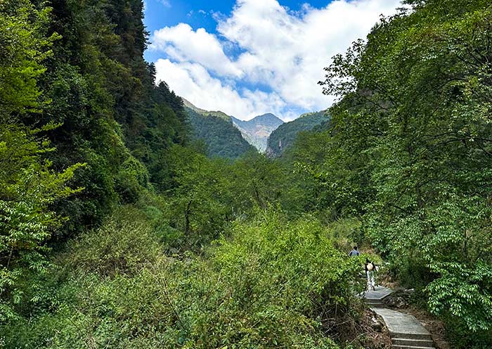 蒼山徒步