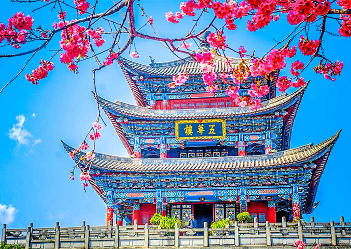 五華樓的(de)春景 五華樓的(de)春景