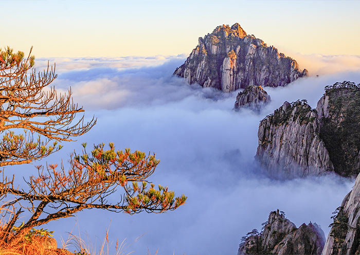 黃山雲海 黃山雲海