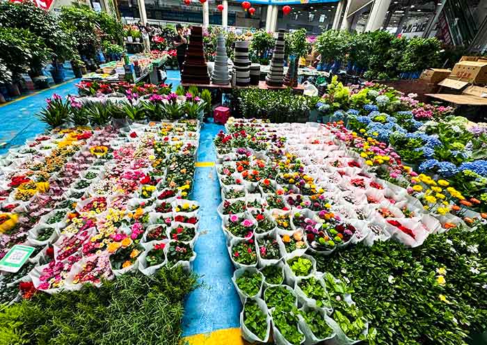 鬥南花卉市場 鬥南花卉市場