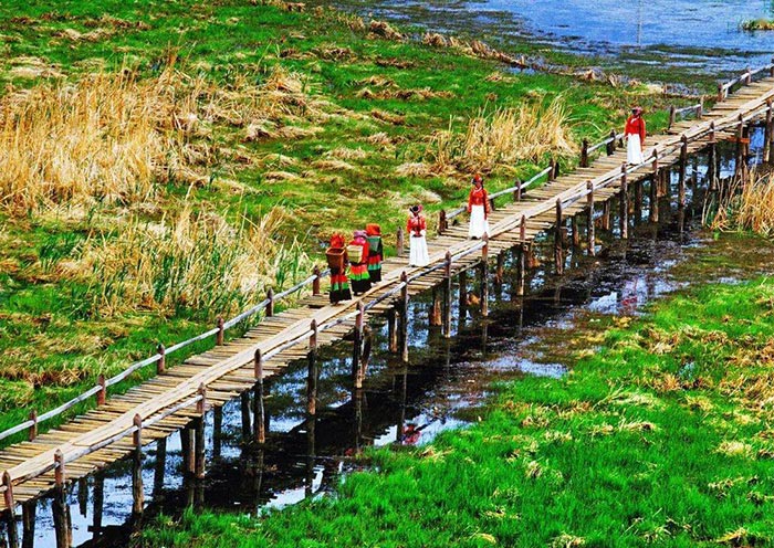 草海走婚橋 草海走婚橋