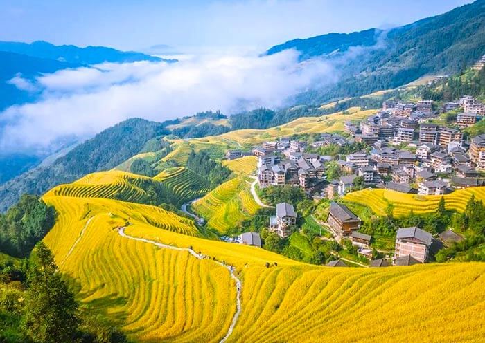 龍脊梯田迷人(rén)的(de)金秋盛景 龍脊梯田迷人(rén)的(de)金秋盛景