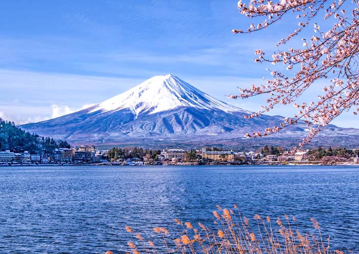 富士山-櫻花美景