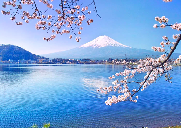 富士山-櫻花美景