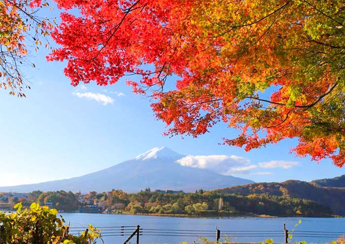 秋季的(de)富士山