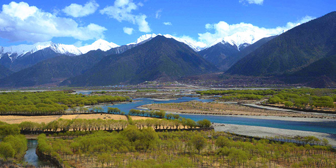 雅尼濕地(dì / de)公園
