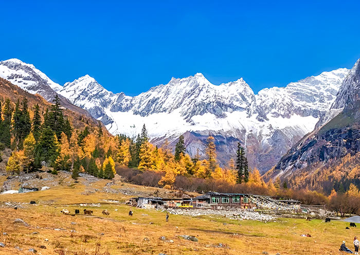 四姑娘山 四姑娘山