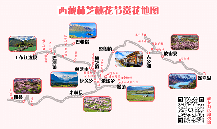 西藏林芝賞桃花地(dì / de)圖
