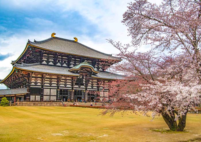 東大(dà)寺