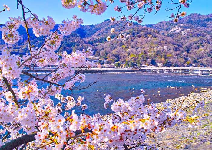 渡月橋